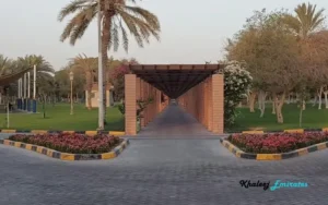 Sharjah Parking Timing