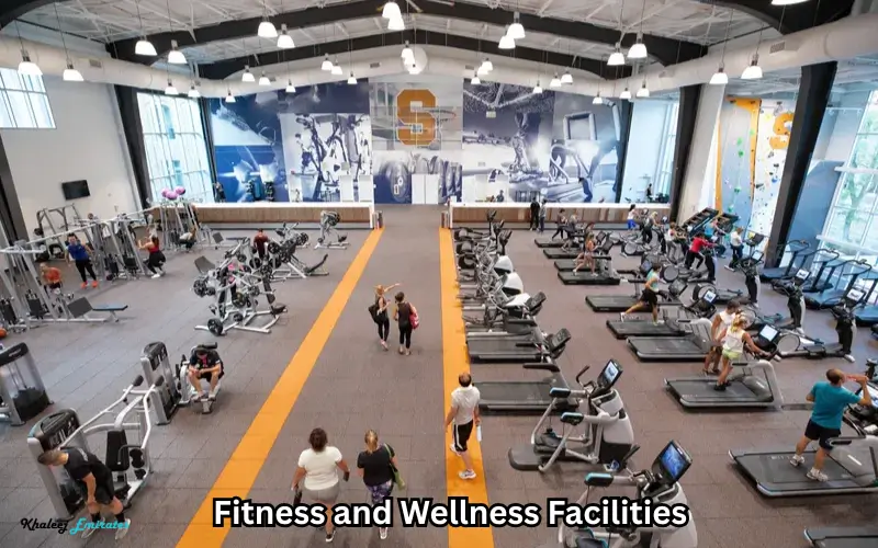 Fitness and Wellness Facilities