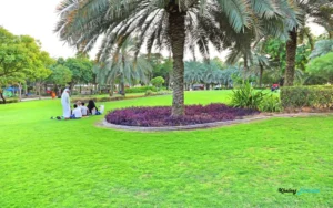 Photography and Sightseeing