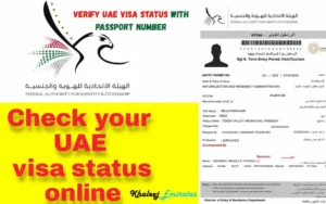 verify UAE visa status