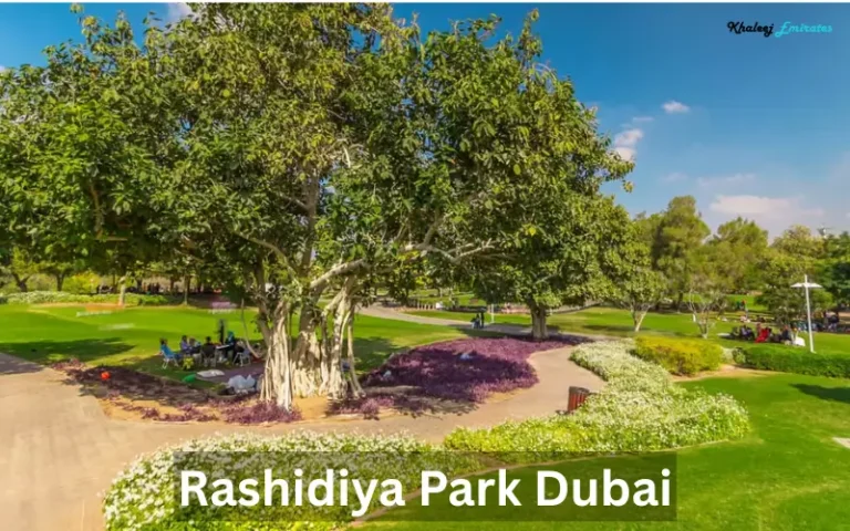 Rashidiya Park Dubai