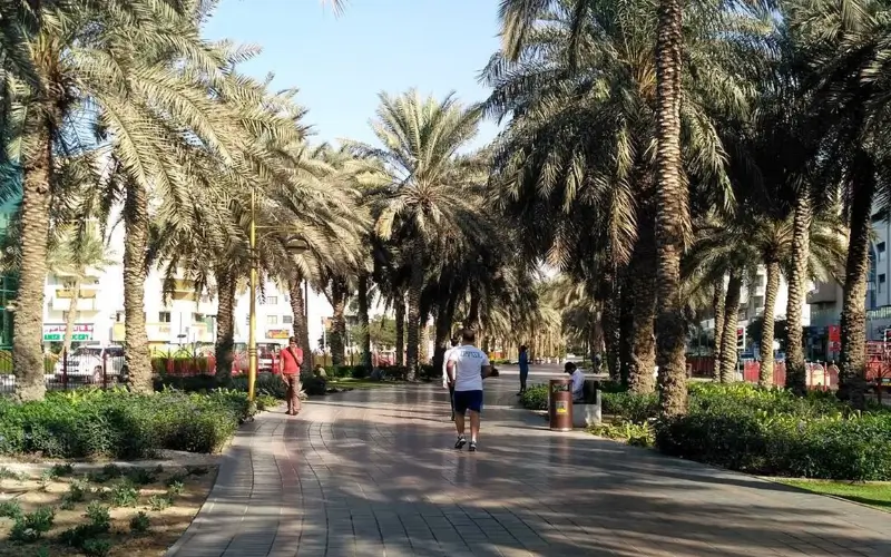 Walking and Jogging Tracks