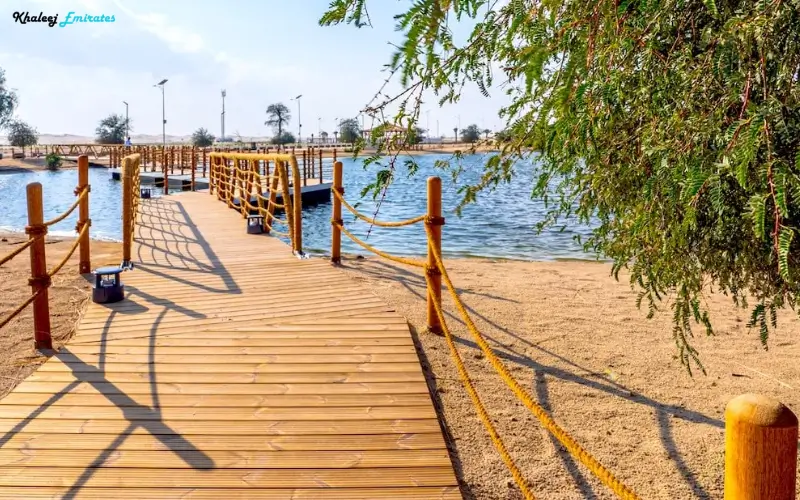 Housing and Real Estate in Al Wathba North