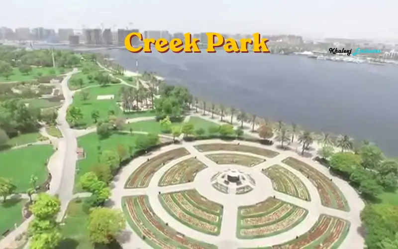 Family-Friendly Environment