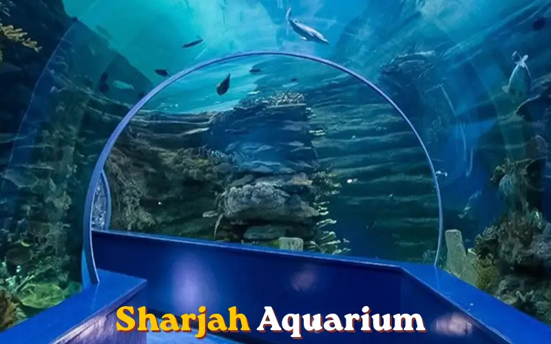 Sharjah Aquarium