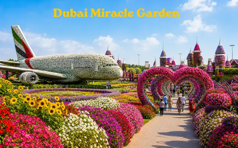 Dubai Miracle Garden