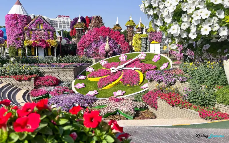 What is the Dubai Miracle Garden