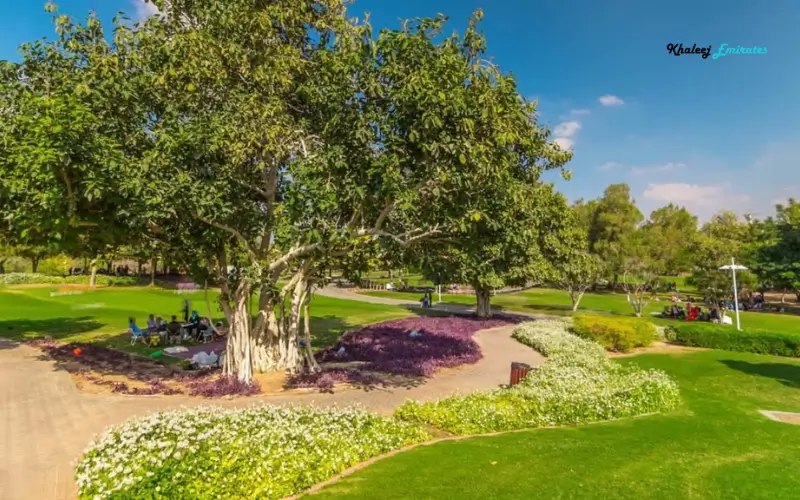 Creek Park 