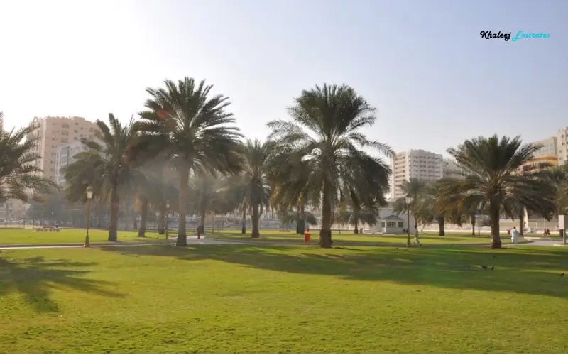 Abu Shagarah Park