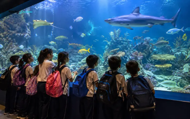 Children watching fish and sharks in an aquarium