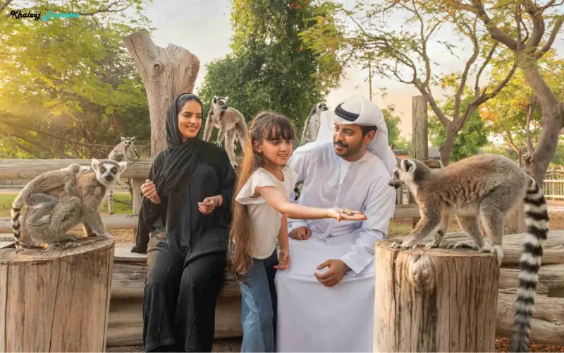 Dubai Safari Park Safari Journey Experience 