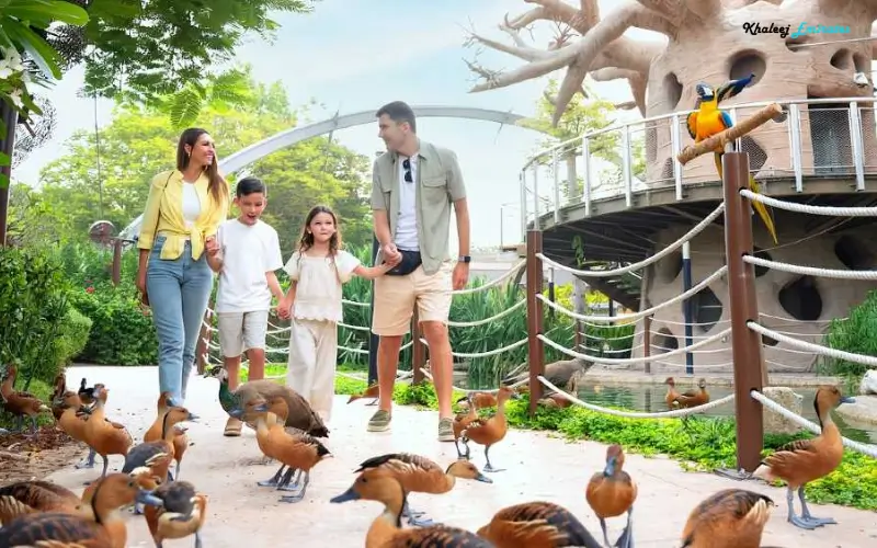 Birds at Dubai Safari Park 