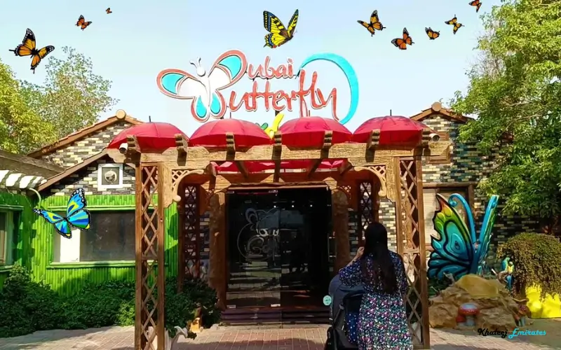 Dubai Butterfly Garden