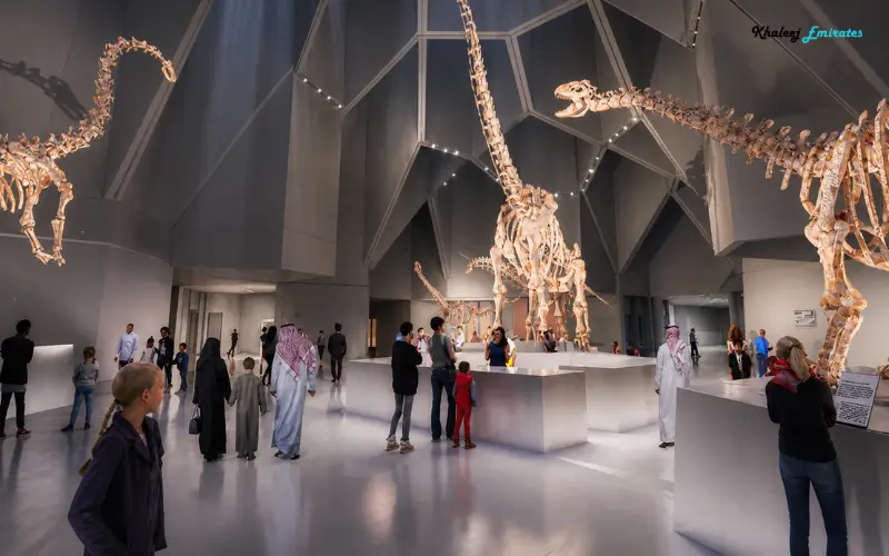 Natural History Museum Abu Dhabi