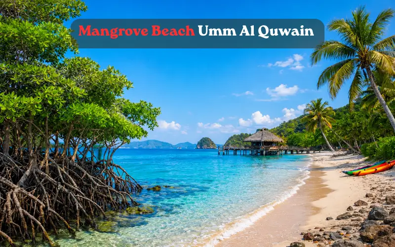 Mangrove Beach Umm Al Qwain