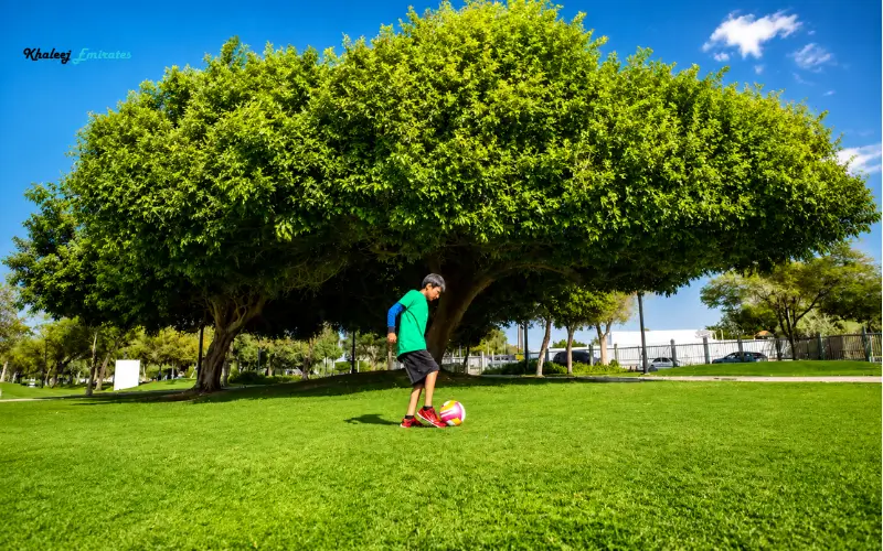Al Quoz Pond Park