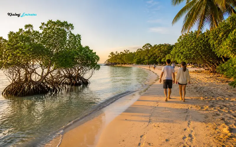 Beach Walks
