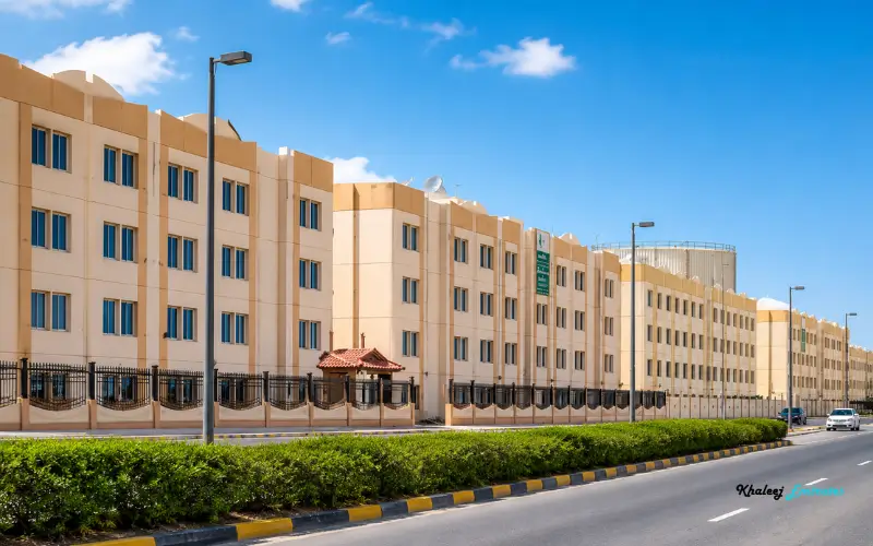 Accommodation Types and Housing Structure