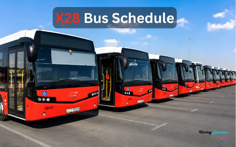 X28 Bus Schedule