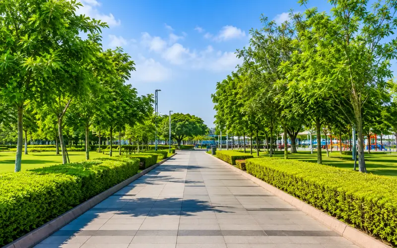 Landscaped gardens
