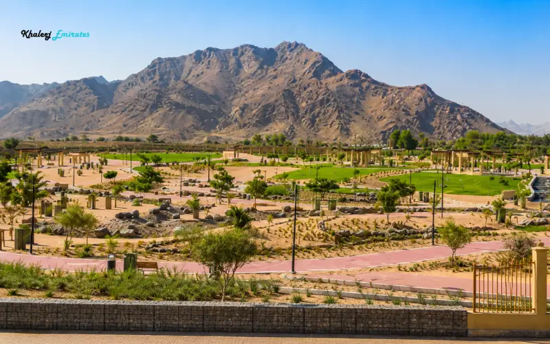 High-altitude overhangs of the Hajar Mountains at Hatta Hill Park