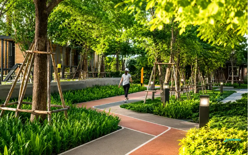 Walking and Jogging Track
