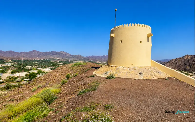Observation Tower in Hatta Hill Park
