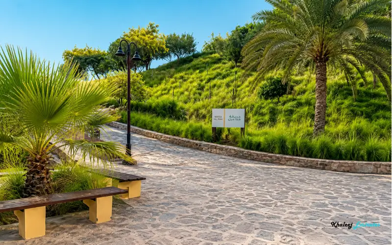 Landscaped Gardens and Green Spaces in Hatta Hill Park
