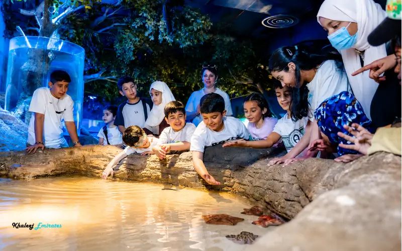 Sharjah Museums Authority