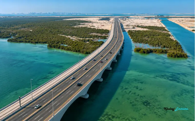 Environmental Design of the Bridge
