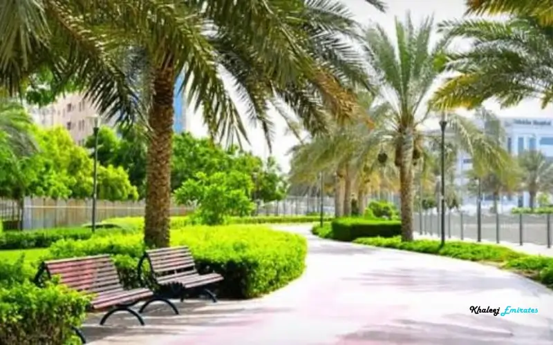 Green Areas and Seating at Al Nahda Park