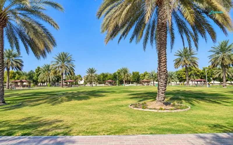 Green Spaces and Outdoor Seating